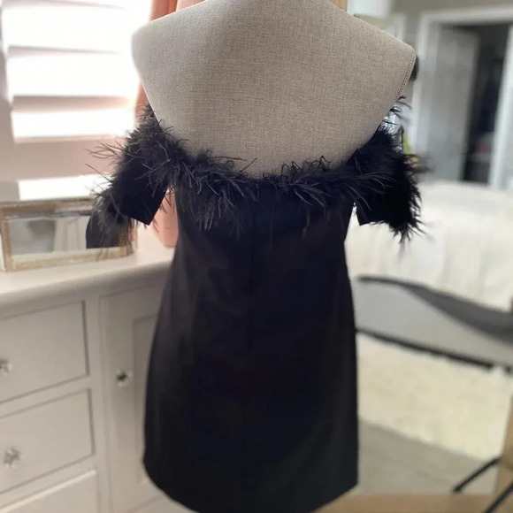 Sleeveless Formal Lined Dress Feather  Trim, Size M NWOT - Picture 2 of 7